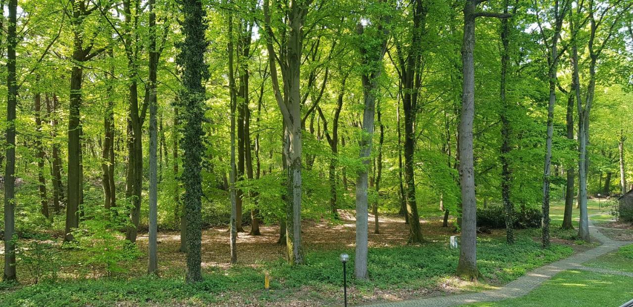Ceder 104 Apartman Aan de Wolfsberg Kültér fotó